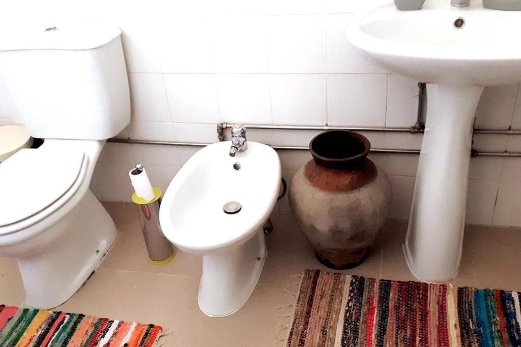 Casa Dos Coracoes - Turismo Regenerativo Apartment Beirã Екстериор снимка